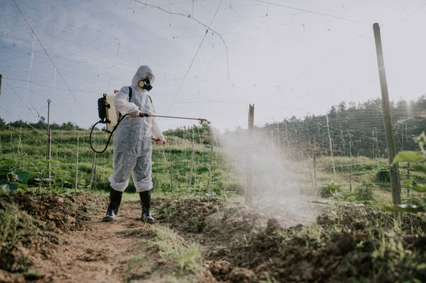 Best Commercial Pest Control Services  in Cottonwood Heights, UT
