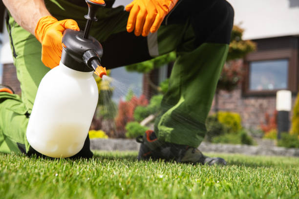 Best Rat Extermination Near Me  in Cottonwood Heights, UT