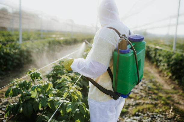 Best Affordable Pest Control Services  in Cottonwood Heights, UT